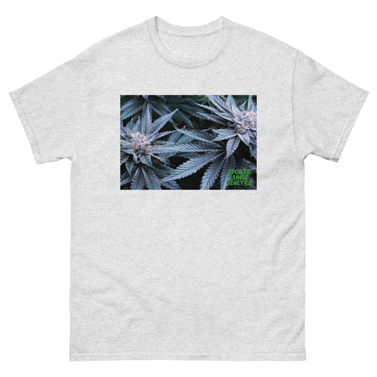 DREAM FACTORY OG Tee