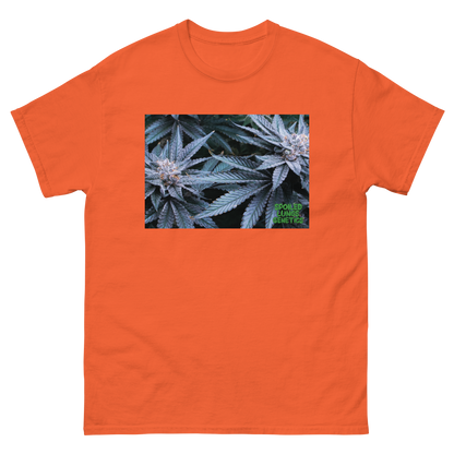 DREAM FACTORY OG Tee