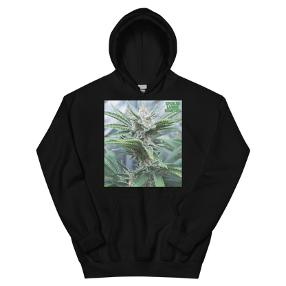 BAHAMA BERRY OG MNS Hoodie