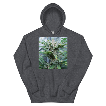 BAHAMA BERRY OG MNS Hoodie