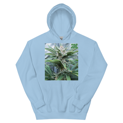 BAHAMA BERRY OG MNS Hoodie