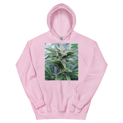 BAHAMA BERRY OG MNS Hoodie