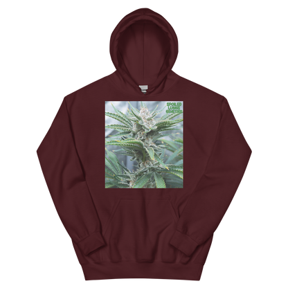 BAHAMA BERRY OG MNS Hoodie