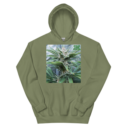 BAHAMA BERRY OG MNS Hoodie