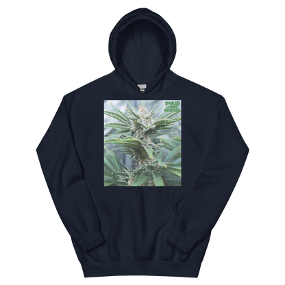 BAHAMA BERRY OG MNS Hoodie