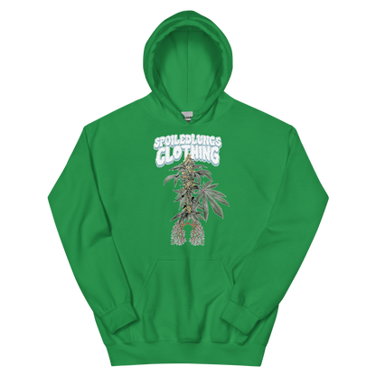 BANANA RUNTZ OG Hoodie